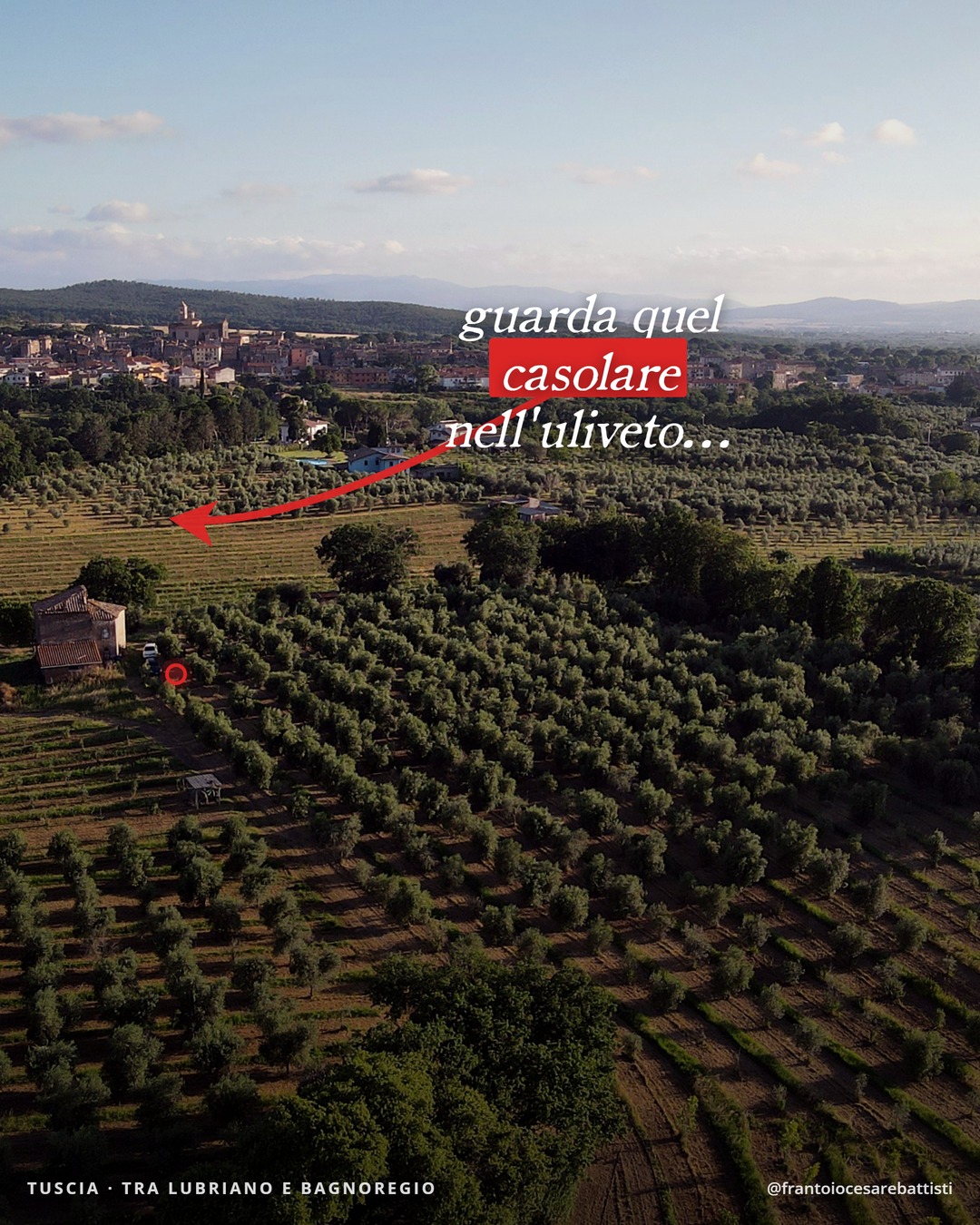 Annotation Frantoio