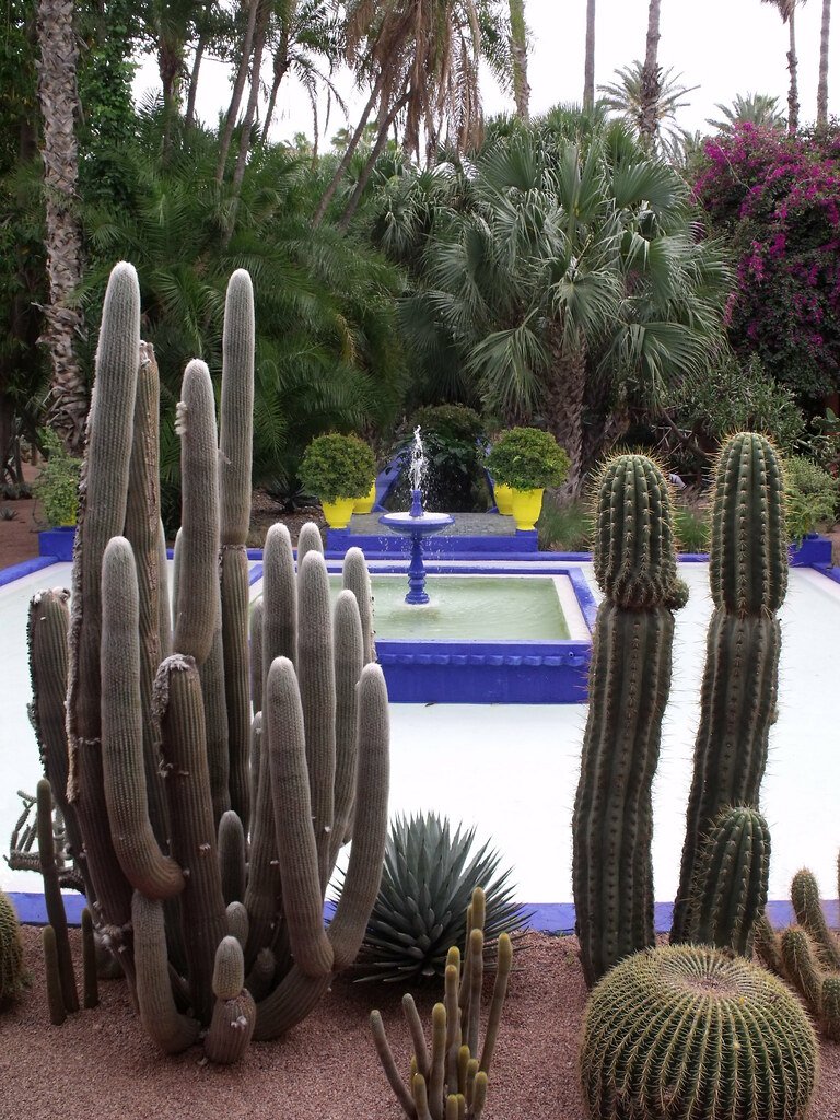 Cactus e fontana blu nel Jardin Majorelle